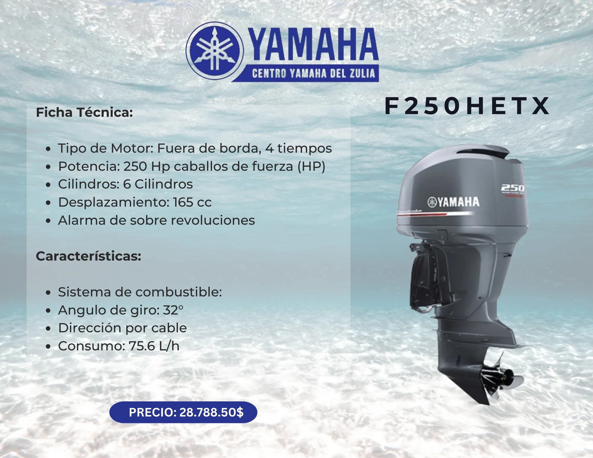 250HP MOTOR FUERA DE BORDA YAMAHA F250HETX - Image 2